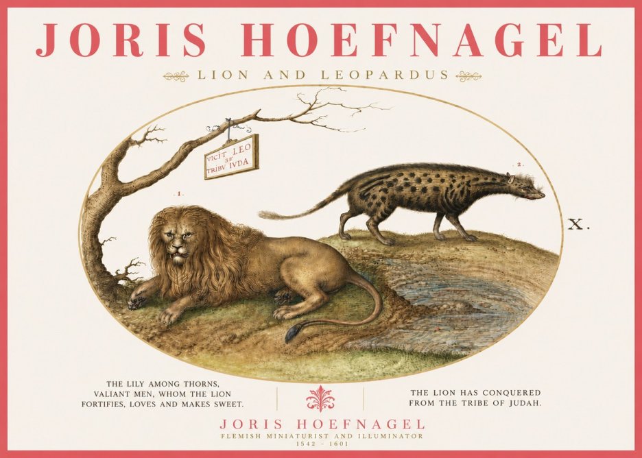 Joris Hoefnagel Lion and Spotted Hyena No6 - Poszter