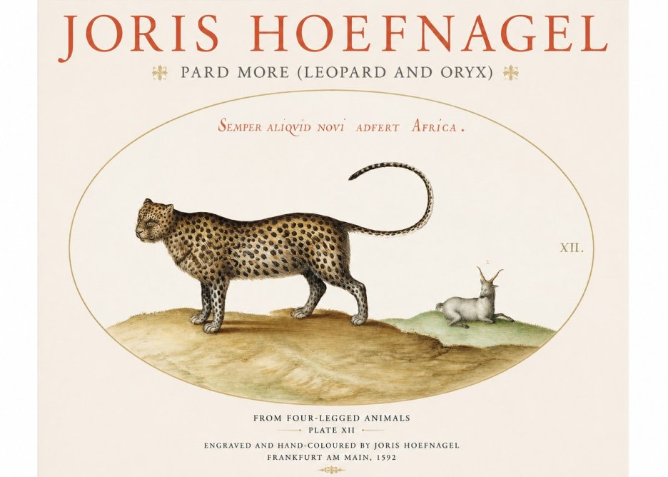 Joris Hoefnagel Pard More (Leopard and Oryx) No1 - Poszter