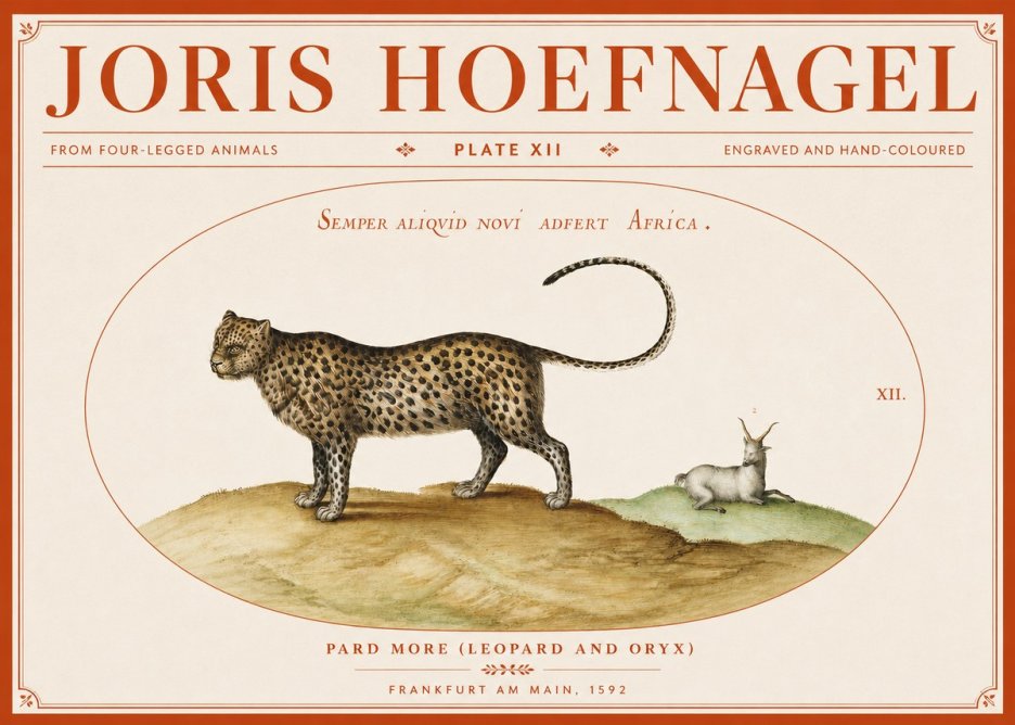 Joris Hoefnagel Pard More (Leopard and Oryx) No3 - Poszter