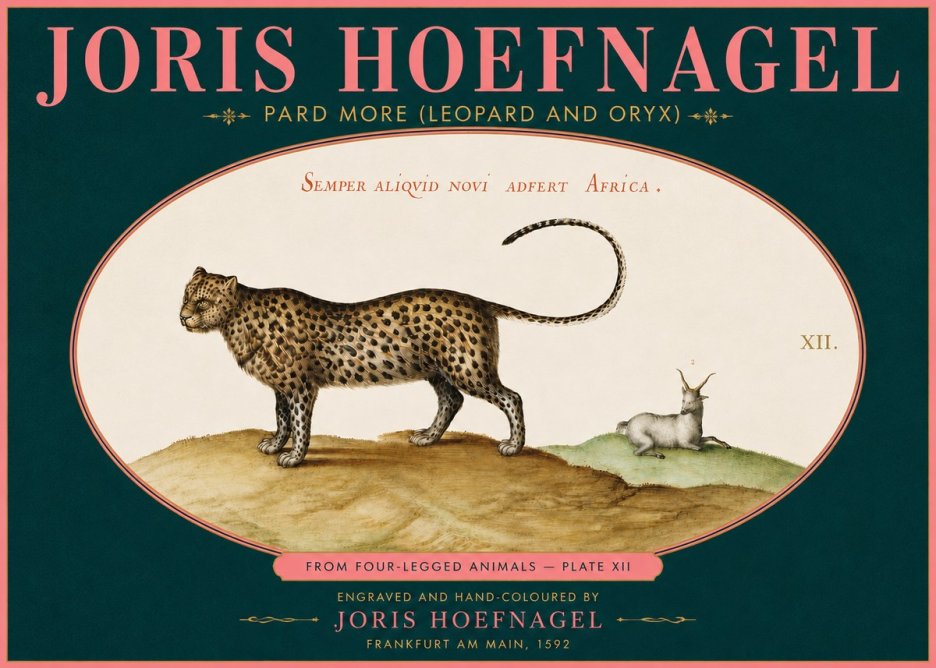 Joris Hoefnagel Pard More (Leopard and Oryx) No5 - Poszter