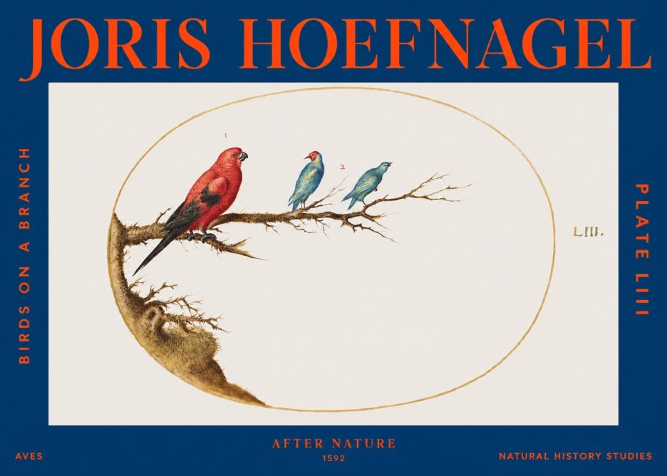 Joris Hoefnagel Birds on a Branch No3 - Poszter