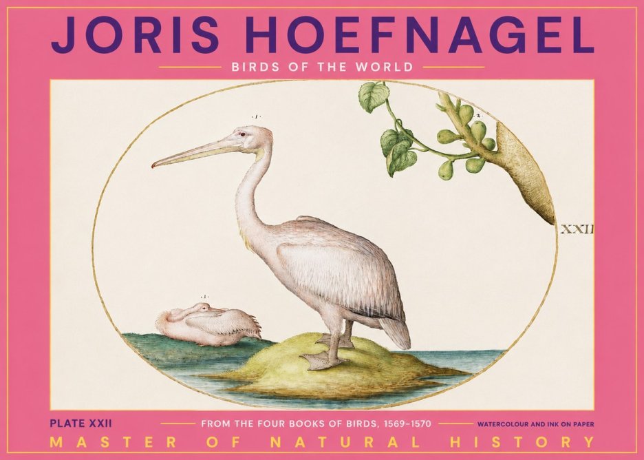 Joris Hoefnagel Plate Xxii No2 - Poszter