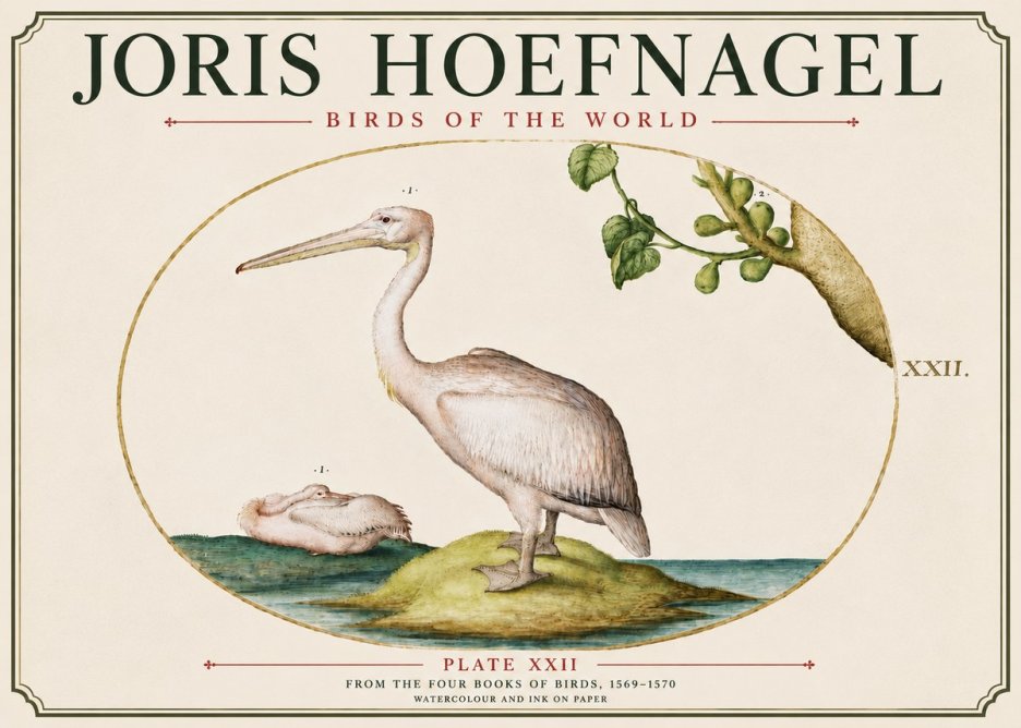 Joris Hoefnagel Plate Xxii No6 - Poszter