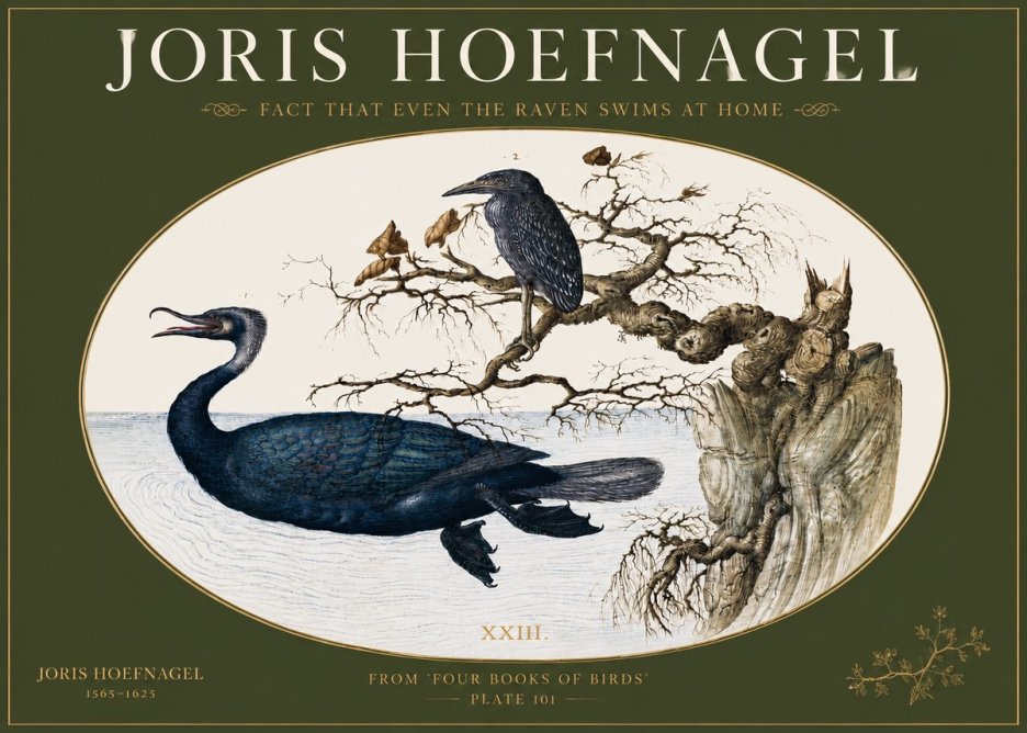 Joris Hoefnagel Fact That Even the Raven Swims at Home No3 - Poszter