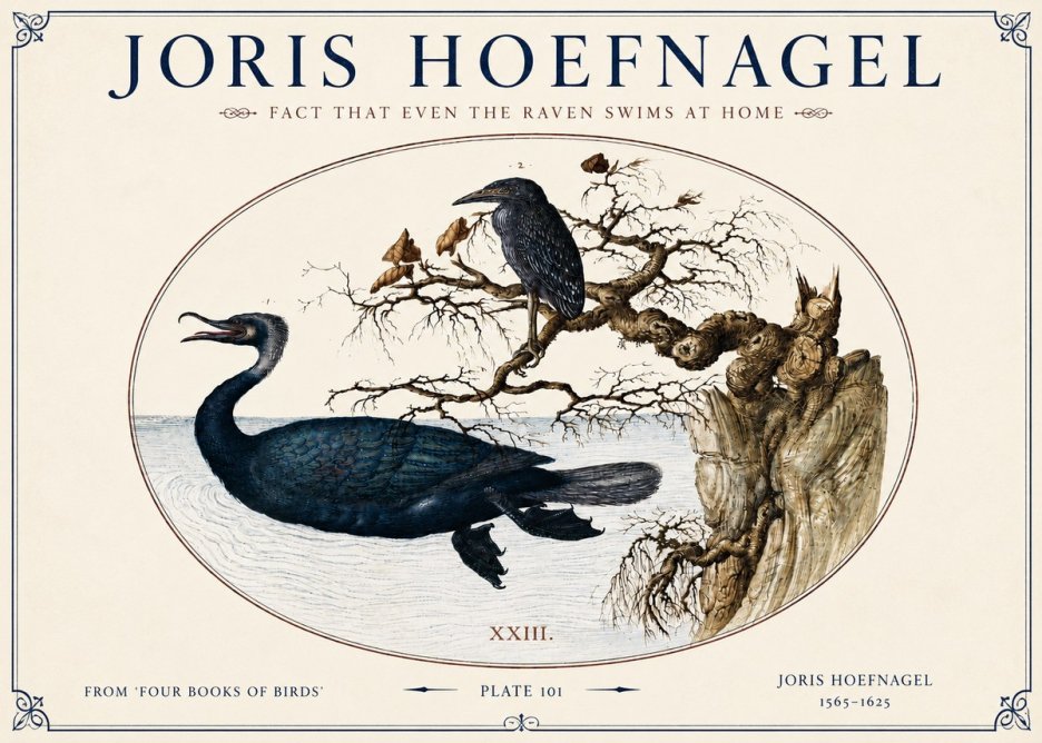 Joris Hoefnagel Fact That Even the Raven Swims at Home No4 - Poszter
