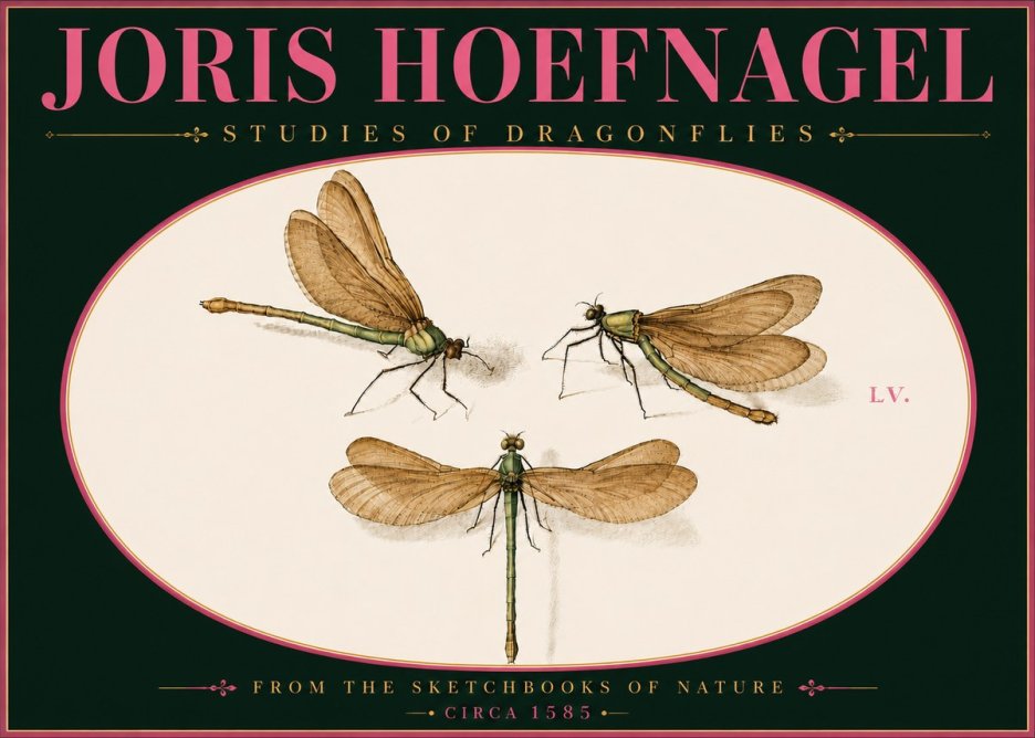 Joris Hoefnagel Studies of Dragonflies No6 - Poszter