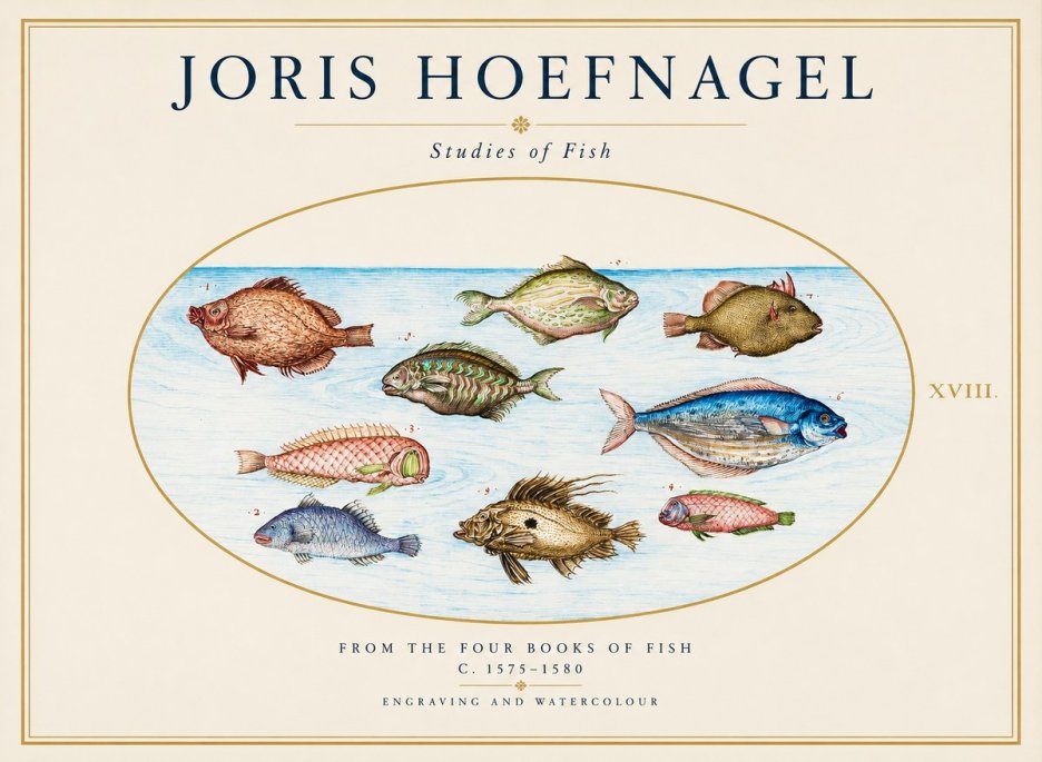 Joris Hoefnagel Studies of Fish I No1 - Poszter