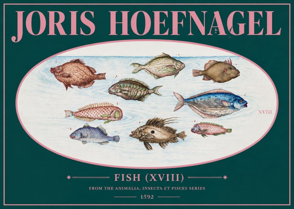 Joris Hoefnagel Studies of Fish I No3 - Poszter