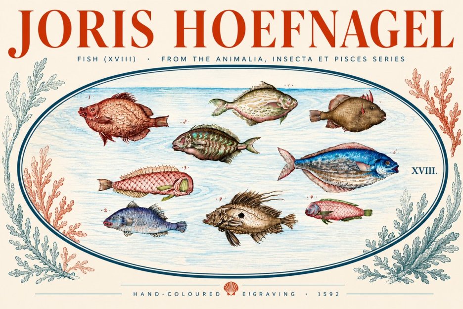 Joris Hoefnagel Studies of Fish I No5 - Poszter