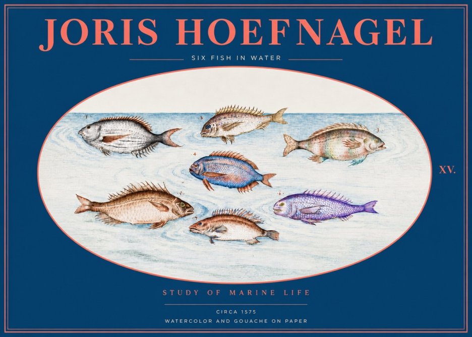 Joris Hoefnagel Six Fish in Water No2 - Poszter