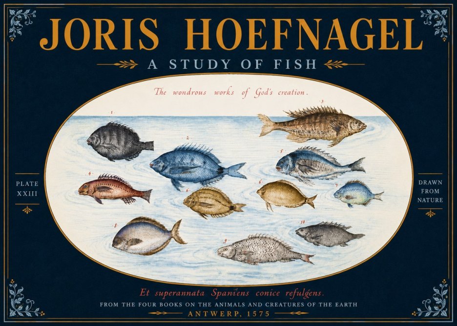 Joris Hoefnagel A Study of Fish No5 - Poszter
