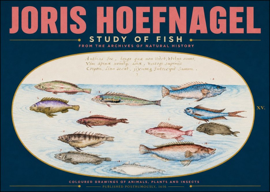 Joris Hoefnagel Study of Fish No4 - Poszter