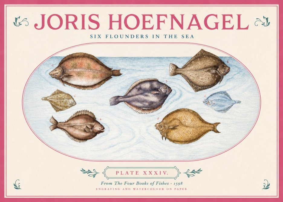 Joris Hoefnagel Six Flounders in the Sea No2 - Poszter