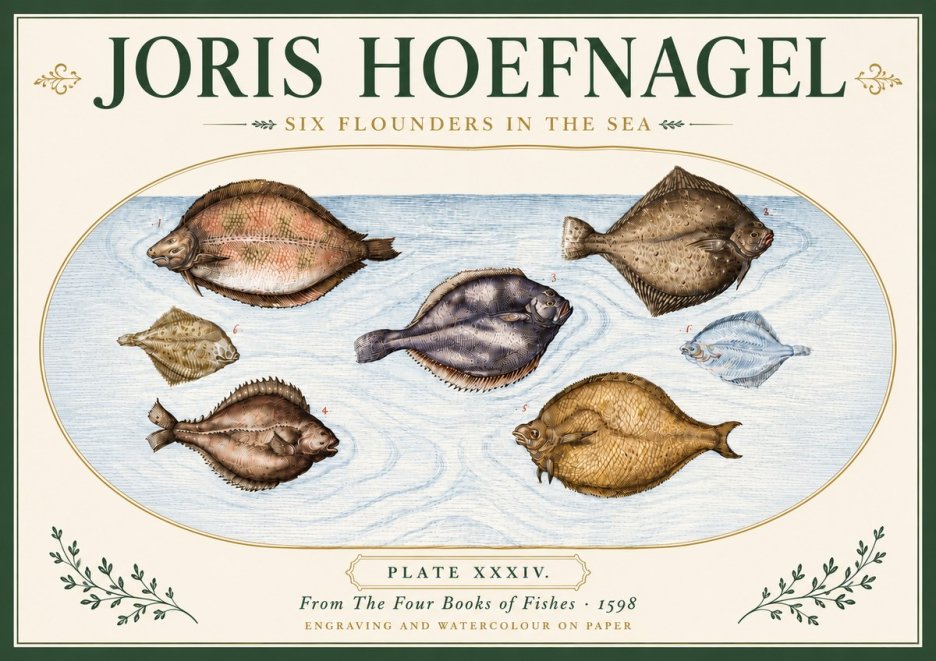 Joris Hoefnagel Six Flounders in the Sea No6 - Poszter