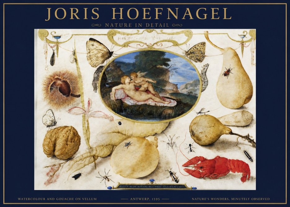 Joris Hoefnagel Nature in Detail No2 - Poszter