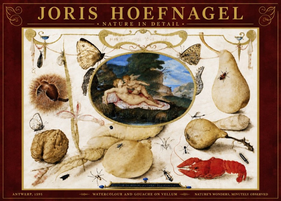 Joris Hoefnagel Nature in Detail No6 - Poszter