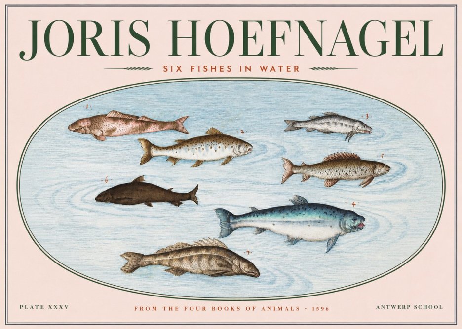 Joris Hoefnagel Six Fishes in Water I No3 - Poszter