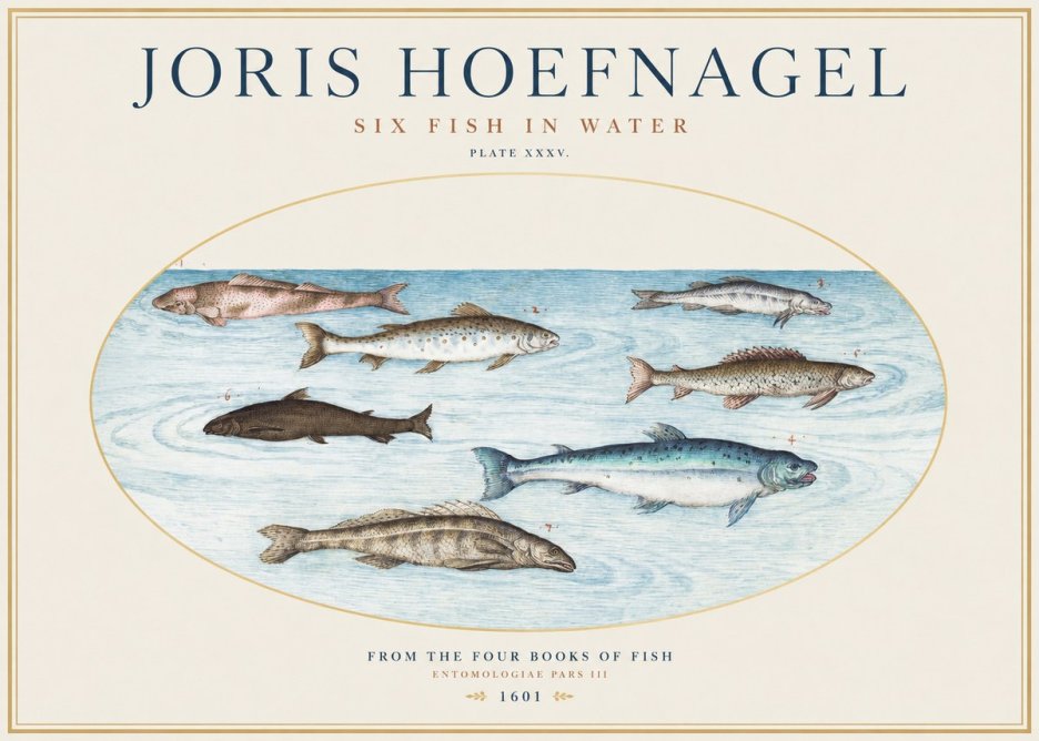 Joris Hoefnagel Six Fishes in Water I No5 - Poszter