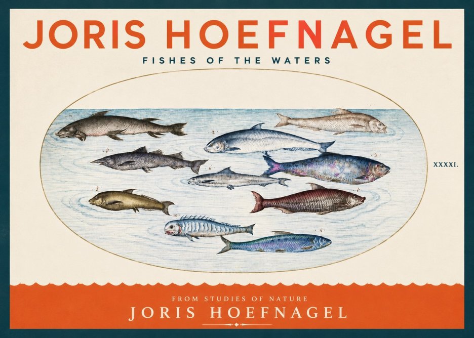 Joris Hoefnagel Fishes of the Waters II No2 - Poszter