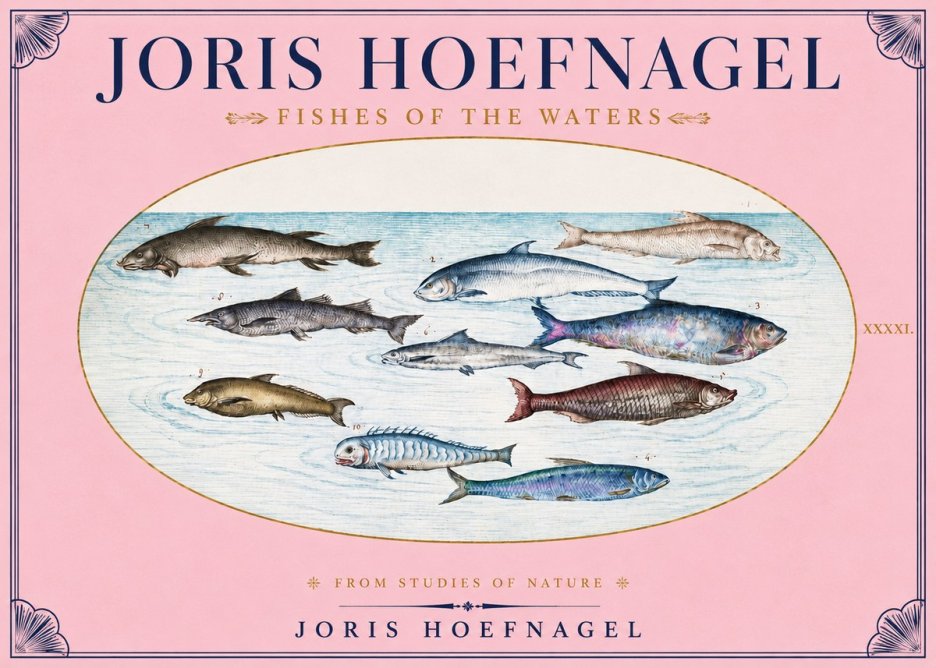 Joris Hoefnagel Fishes of the Waters II No3 - Poszter