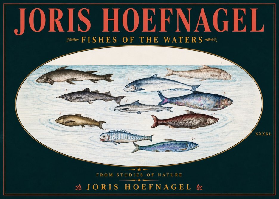 Joris Hoefnagel Fishes of the Waters II No6 - Poszter