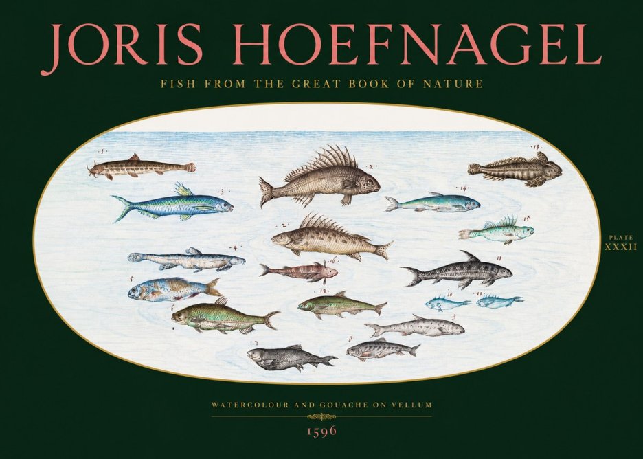 Joris Hoefnagel Fish from the Great Book of Nature No2 - Poszter