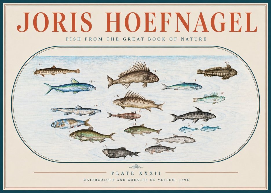 Joris Hoefnagel Fish from the Great Book of Nature No4 - Poszter