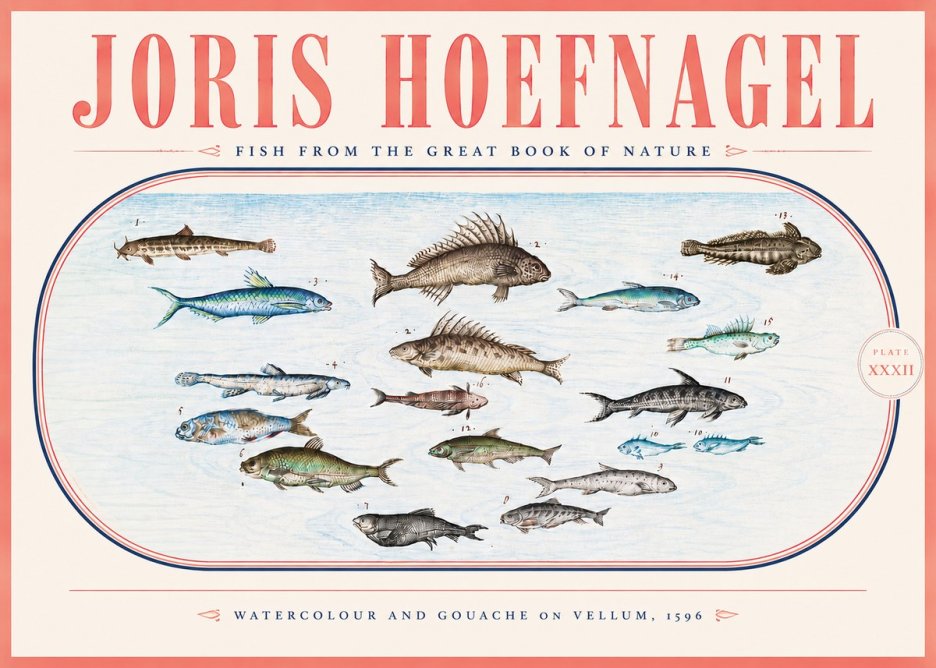 Joris Hoefnagel Fish from the Great Book of Nature No5 - Poszter