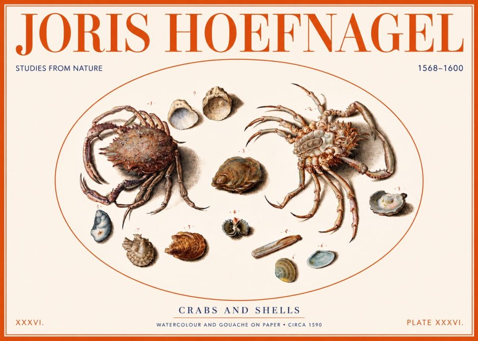 Joris Hoefnagel Crabs and Shells - Studies from Nature No2 - Poszter