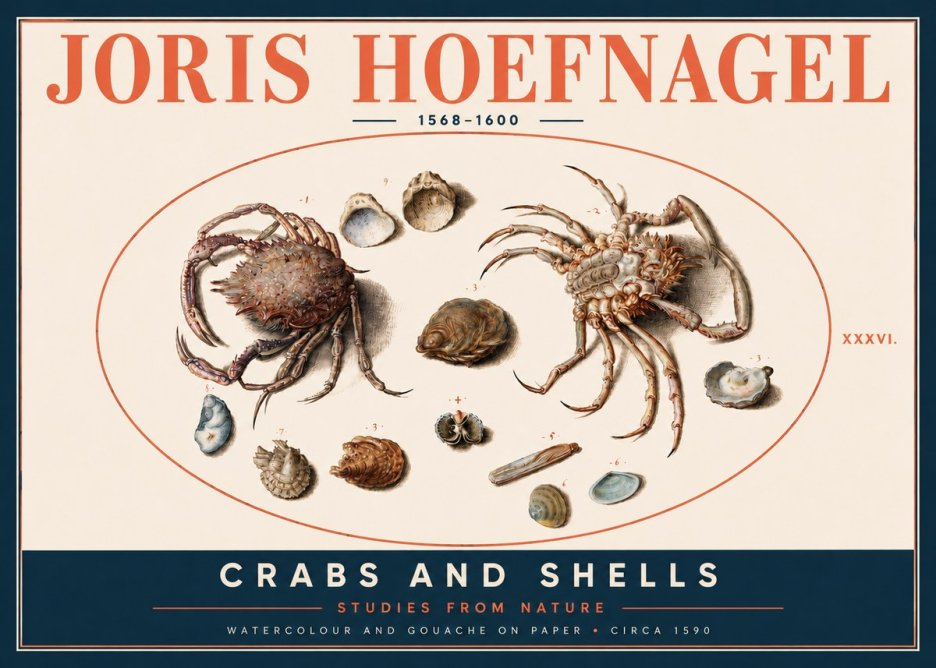 Joris Hoefnagel Crabs and Shells - Studies from Nature No4 - Poszter