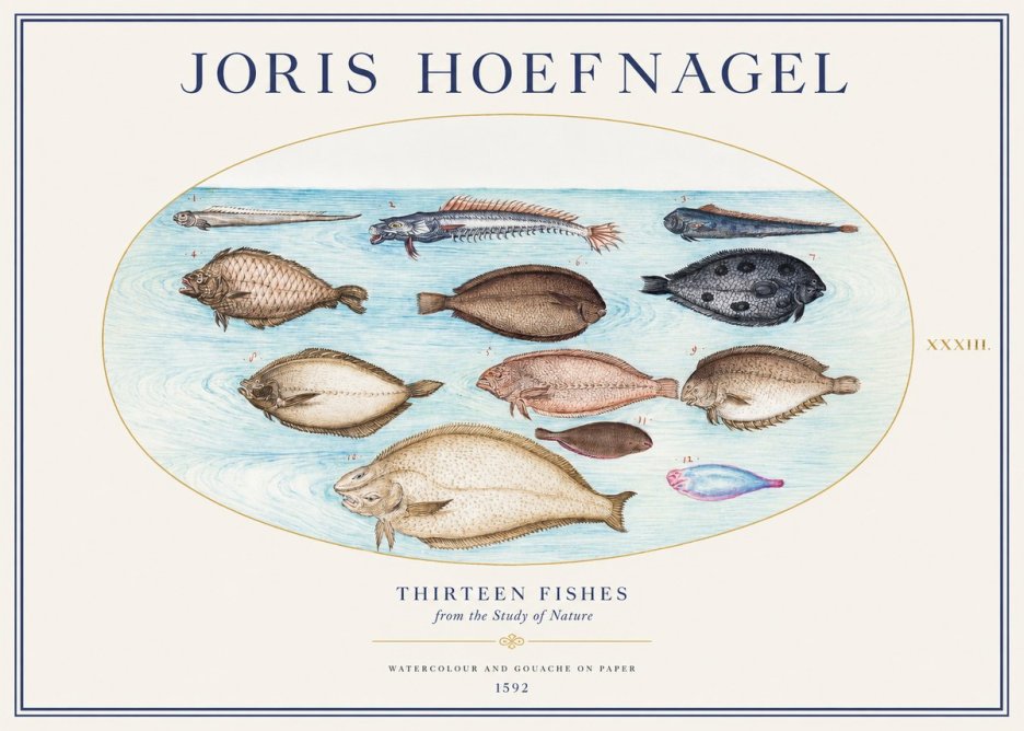 Joris Hoefnagel Thirteen Fishes from the Study of Nature No1 - Poszter