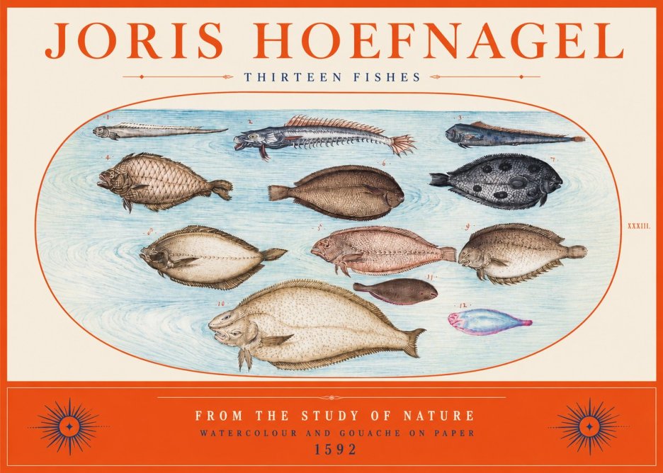 Joris Hoefnagel Thirteen Fishes from the Study of Nature No2 - Poszter