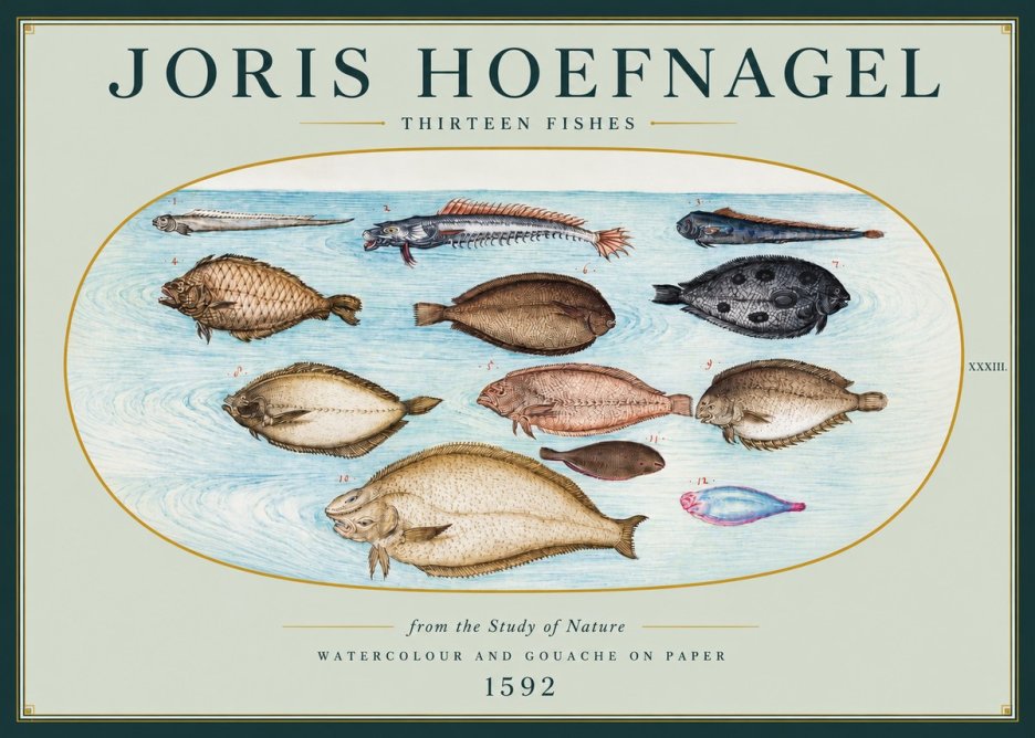 Joris Hoefnagel Thirteen Fishes from the Study of Nature No3 - Poszter