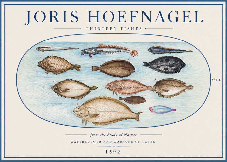 Joris Hoefnagel Thirteen Fishes from the Study of Nature No4 - Poszter
