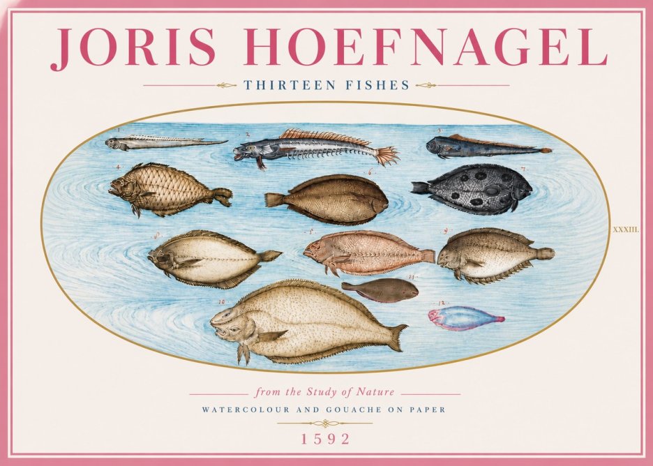 Joris Hoefnagel Thirteen Fishes from the Study of Nature No5 - Poszter