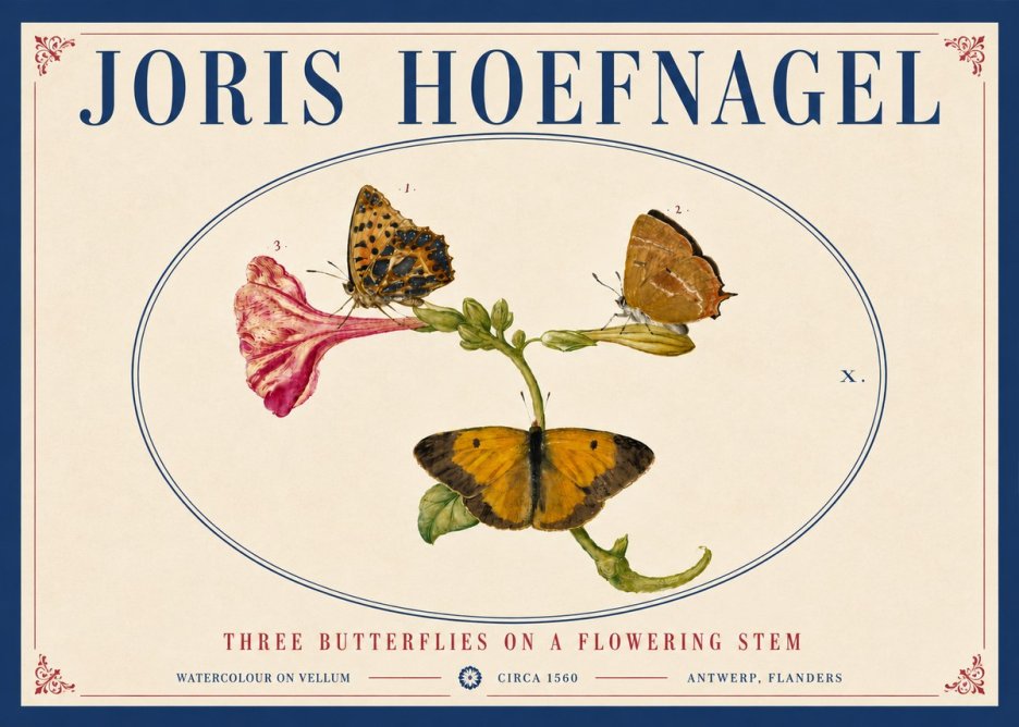 Joris Hoefnagel Three Butterflies on a Flowering Stem No5 - Poszter