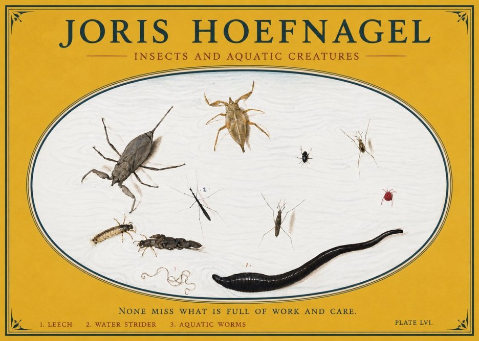 Joris Hoefnagel Insects and Aquatic Creatures No3 - Poszter