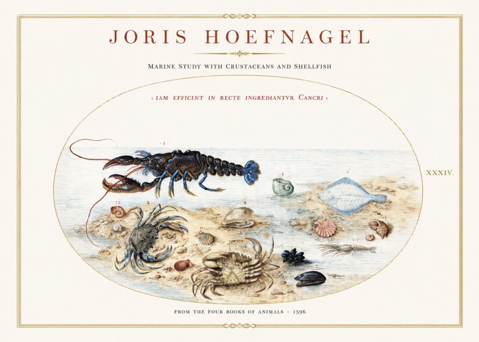 Joris Hoefnagel Marine Study with Crustaceans and Shellfish No1 - Poszter