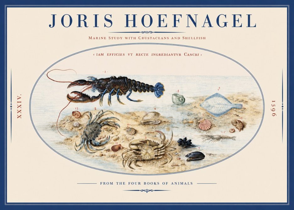 Joris Hoefnagel Marine Study with Crustaceans and Shellfish No2 - Poszter