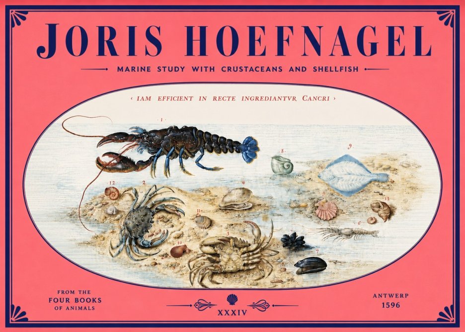 Joris Hoefnagel Marine Study with Crustaceans and Shellfish No4 - Poszter