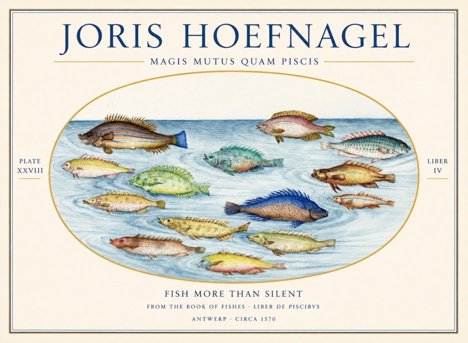 Joris Hoefnagel Fish More Than Silent No1 - Poszter