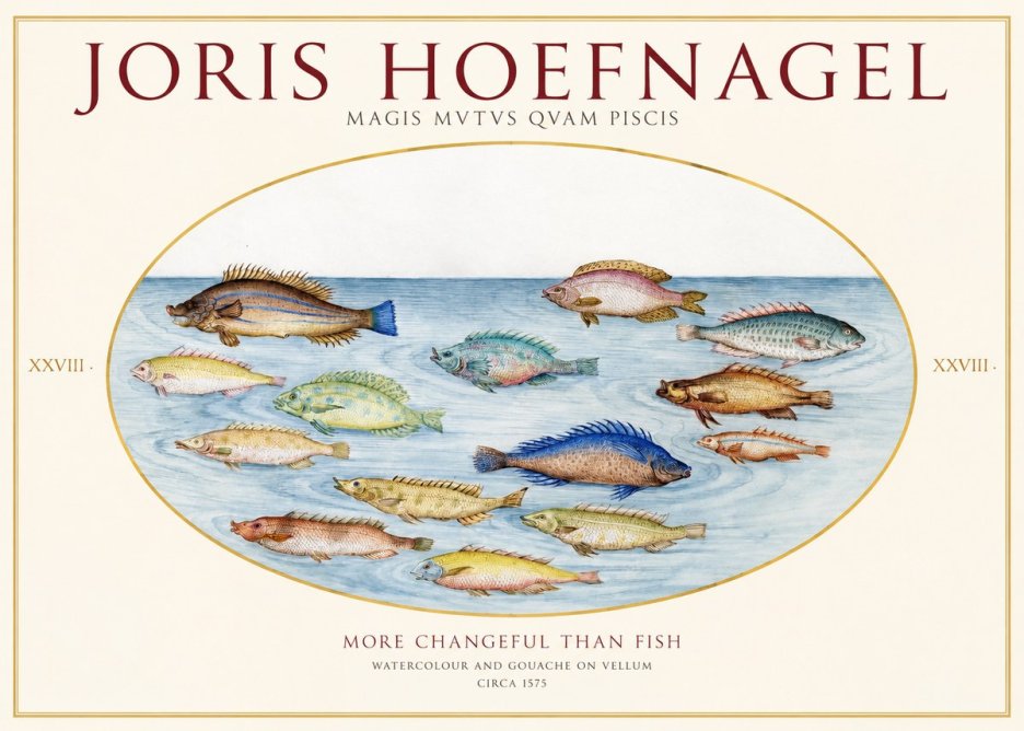 Joris Hoefnagel Fish More Than Silent No2 - Poszter