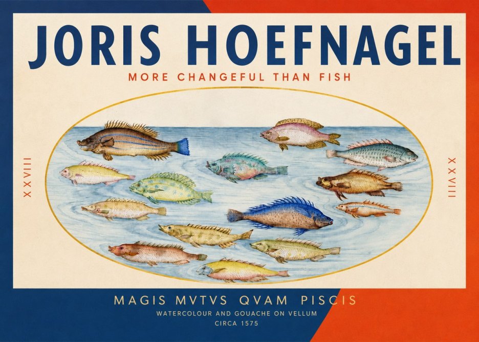 Joris Hoefnagel Fish More Than Silent No3 - Poszter