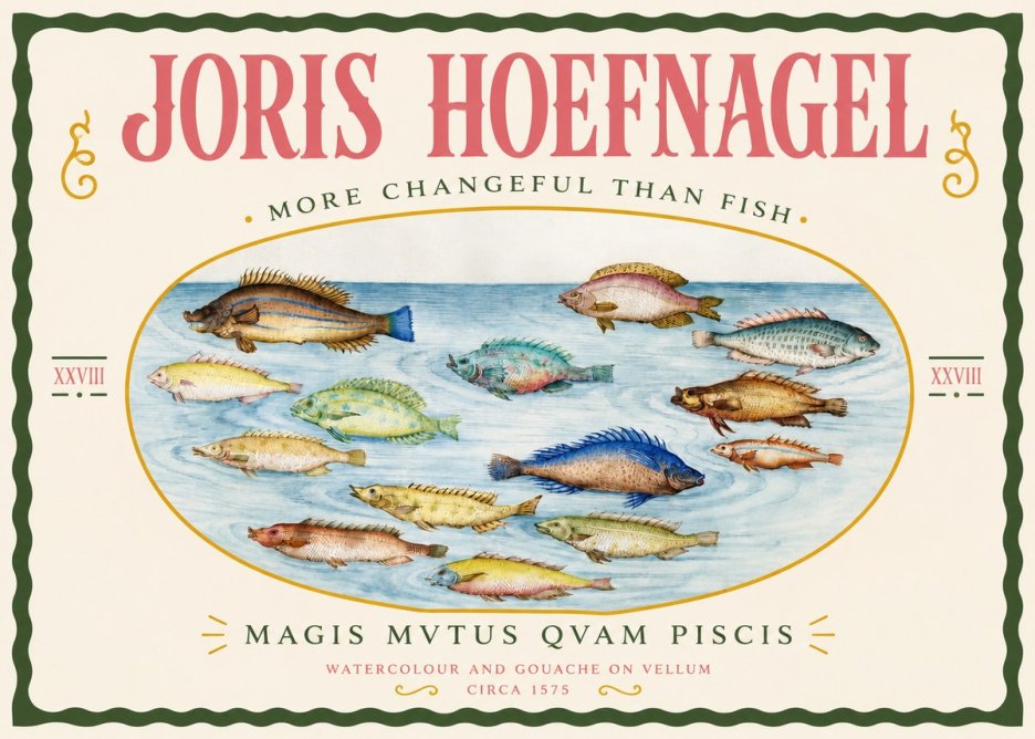 Joris Hoefnagel Fish More Than Silent No4 - Poszter