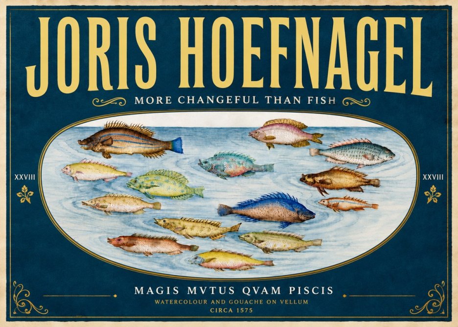 Joris Hoefnagel Fish More Than Silent No6 - Poszter