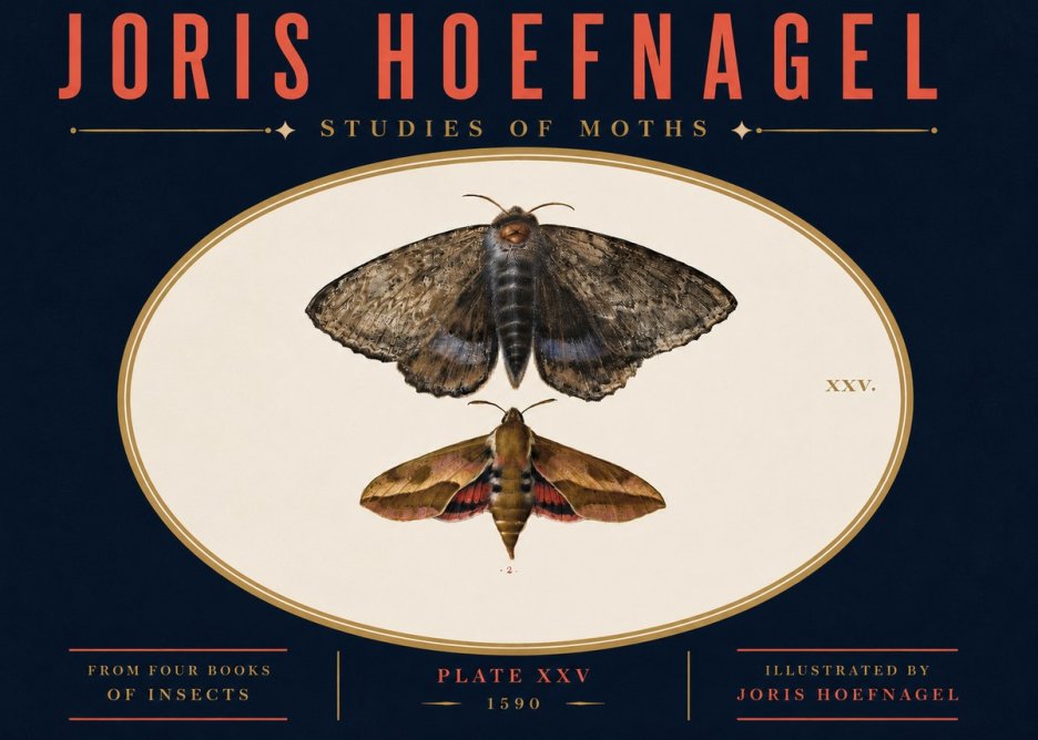 Joris Hoefnagel Studies of Moths I No4 - Poszter
