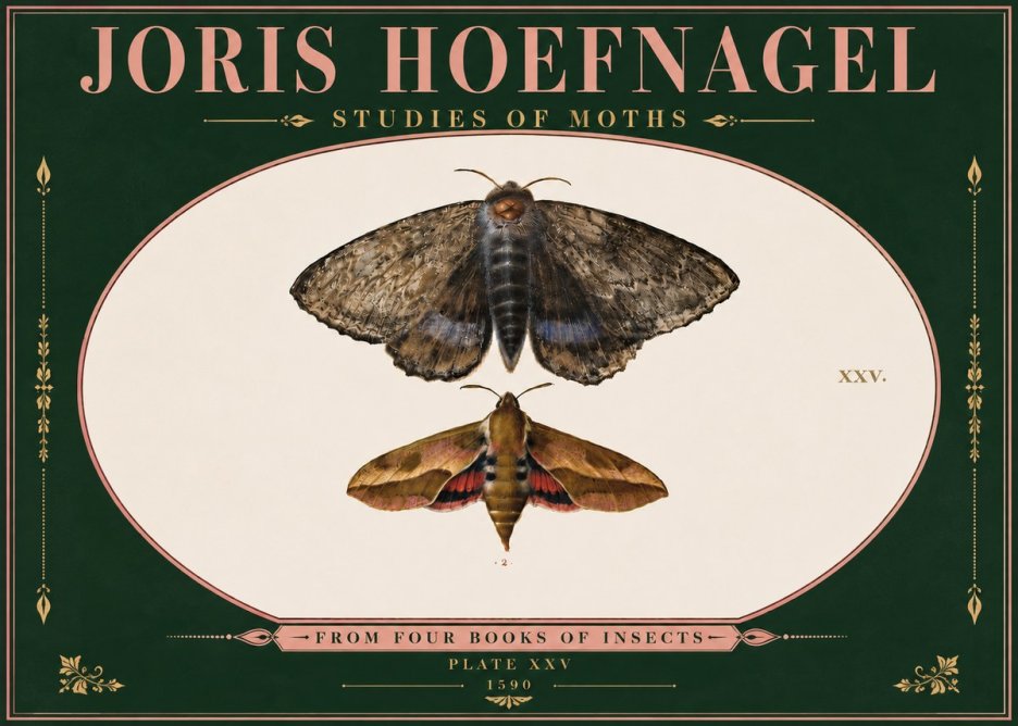 Joris Hoefnagel Studies of Moths I No6 - Poszter