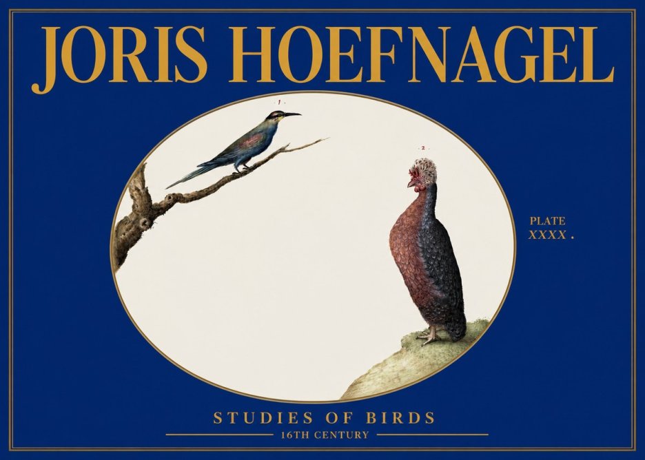 Joris Hoefnagel Studies of Birds I No3 - Poszter