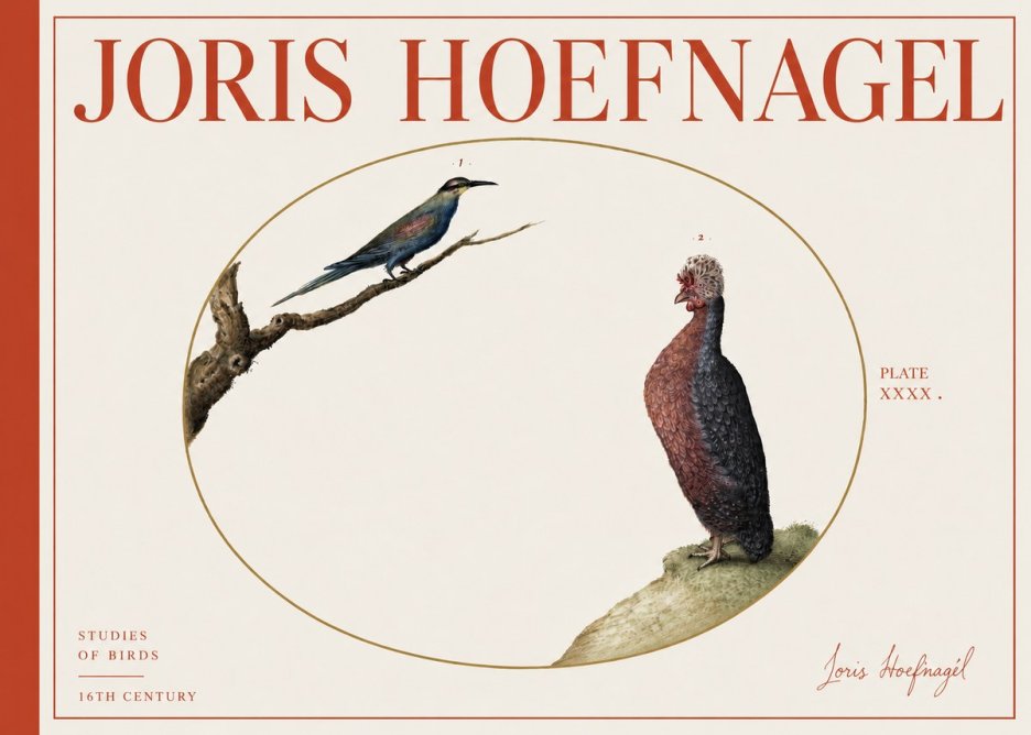 Joris Hoefnagel Studies of Birds I No4 - Poszter