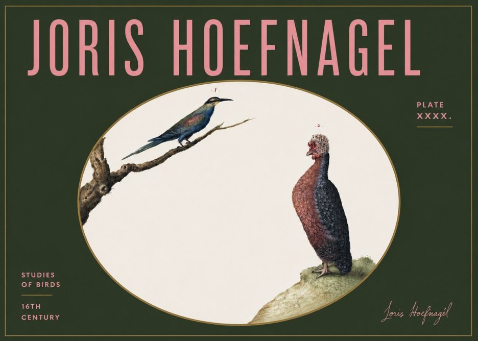 Joris Hoefnagel Studies of Birds I No5 - Poszter